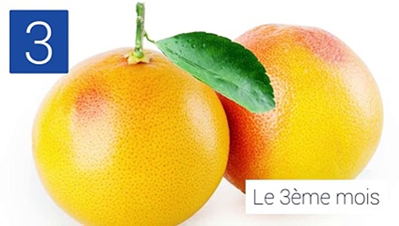 L’évolution imagée de la grossesse