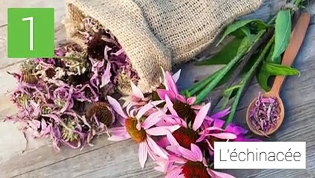 5 remèdes naturels contre la grippe et le rhume