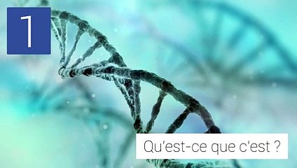 Quel est le bon taux de cholestérol ?