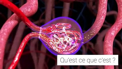 acide urique : comprendre et maîtriser ses taux