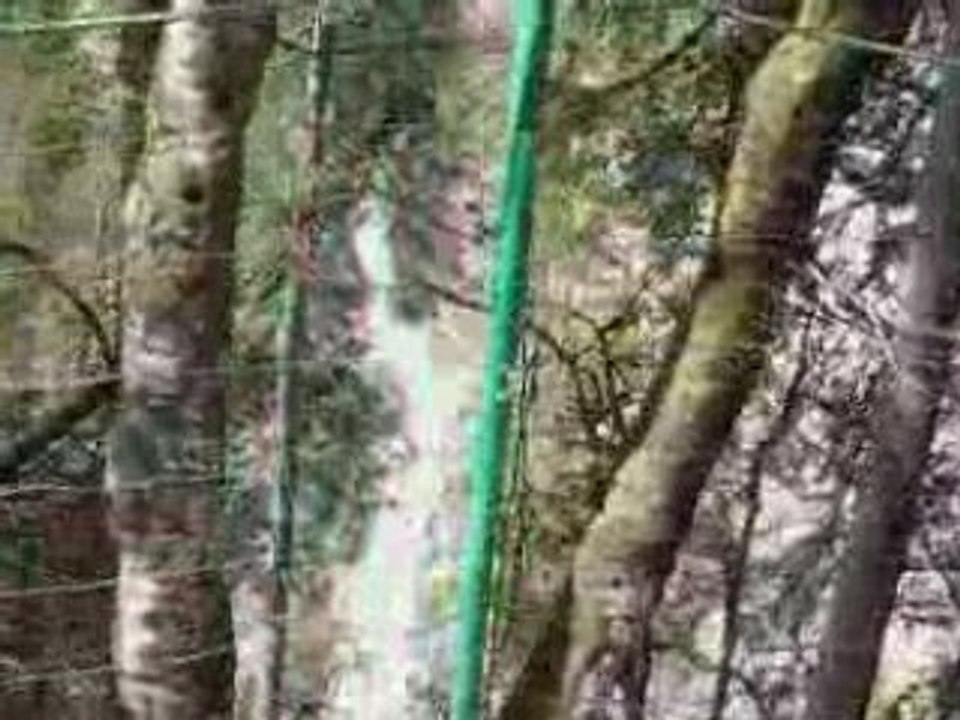 Cascade de l'ardent