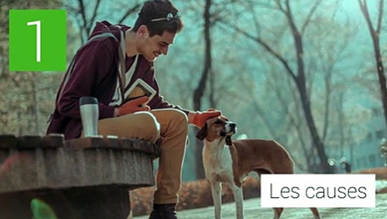 Piqûres de tiques: quels sont les symptômes de la maladie de Lyme?