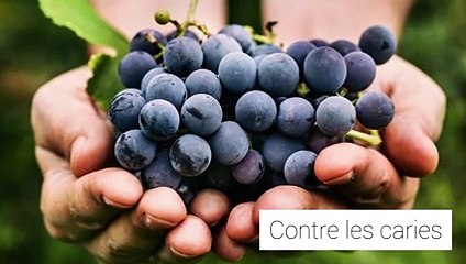 Quels sont les effets du vin sur notre santé?