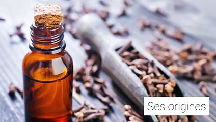 Huiles essentielles : le giroflier