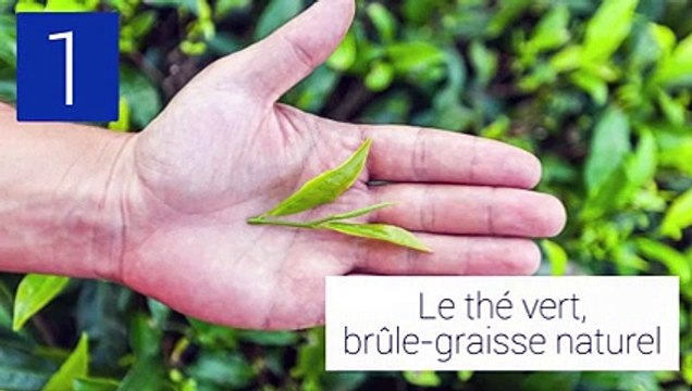 5 produits naturels approuvés pour perdre du poids