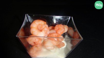 Verrine crevette concombre