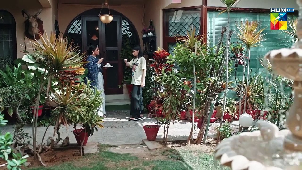 Judwaa - Episode 19 - 24th Feb 2025 [ Aina Asif _ Adnan Raza Mir ] - HUM TV