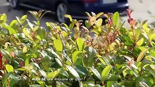 Audi S8, une limousine de sport - Extrait TURBO du 17/11/2019