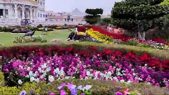 VID-20250226-WA0073(1)