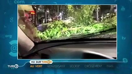 Vu sur TURBO.FR, les images insolites de la semaine - Extrait TURBO du 28/05/2023