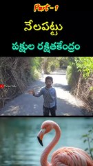 Part-1 / నేలపట్టు birds sanctuary 🥰🥰