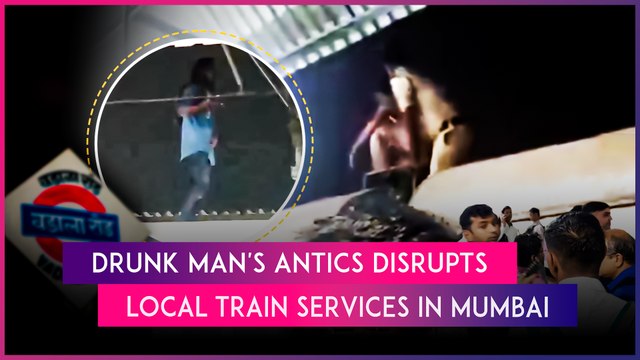 Mumbai: Drunk Man Climbs On Top Of Local Train, Disrupts Harbour Line Services