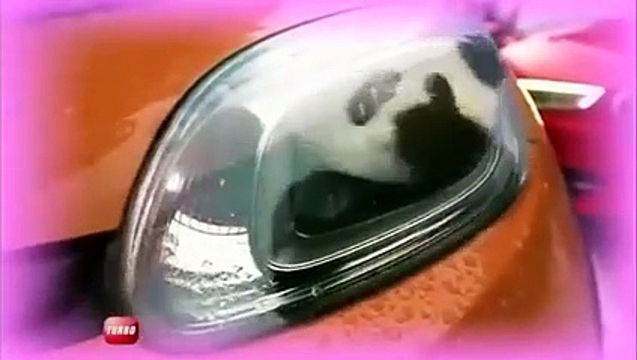 Essai : Fiat Panda 4x4 (Emission Turbo du 27/01/2013)