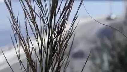 Teaser de la Mercedes CLA Shooting Brake