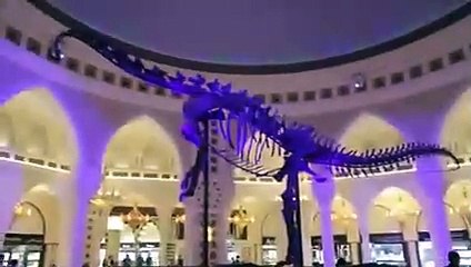 Romain Grosjean et Pastor Maldonado se tirent la bourre en Twizy dans le centre commercial du Dubai