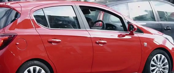 Un chien gare une Opel Corsa en caméra cachée