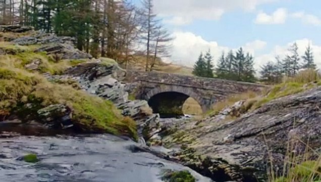 L’Aston Martin V12 Vantage S en boîte manuelle sur circuit