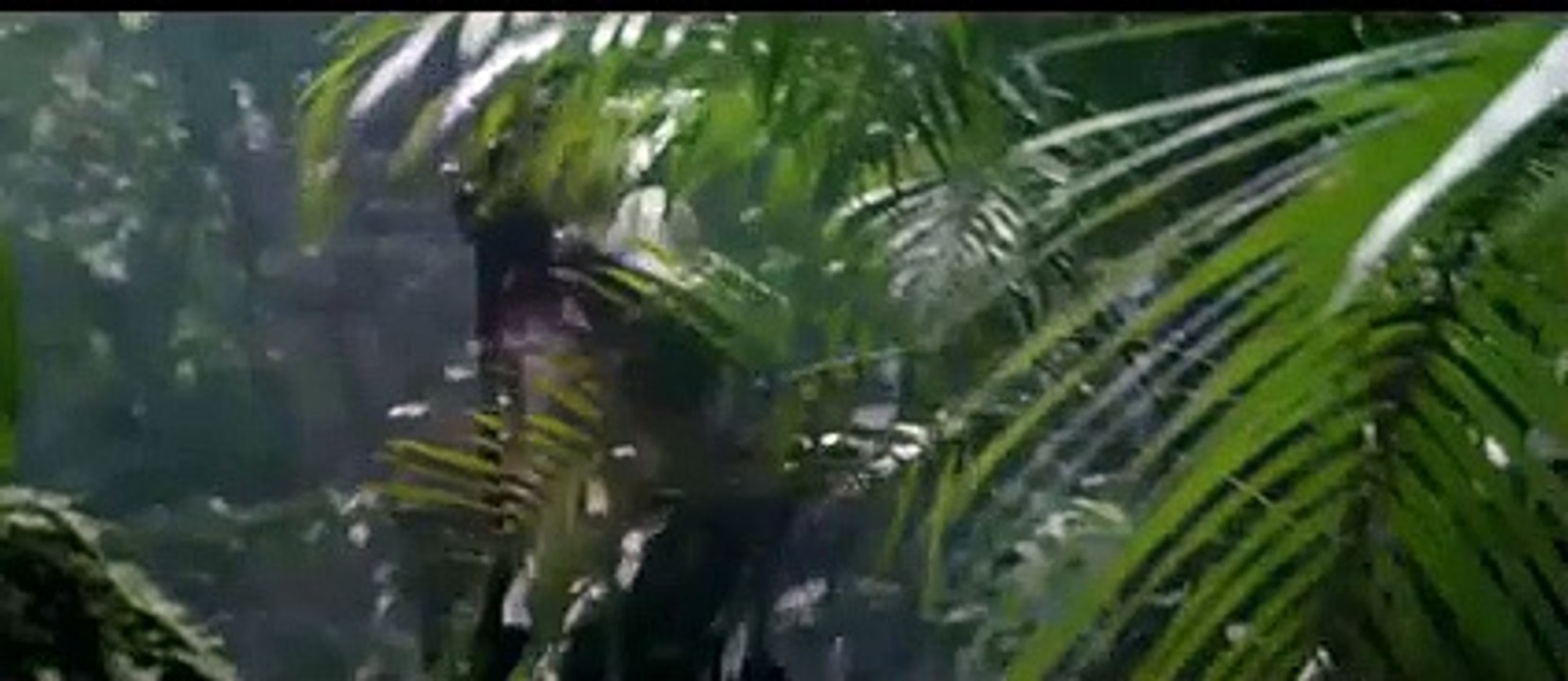 Lewis Hamilton chasse l’AMG GT R dans la jungle