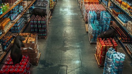 Ordinary Items That Can Be Unexpectedly Dangerous