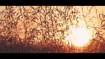 Présentation de la Jaguar F-TYPE SVR