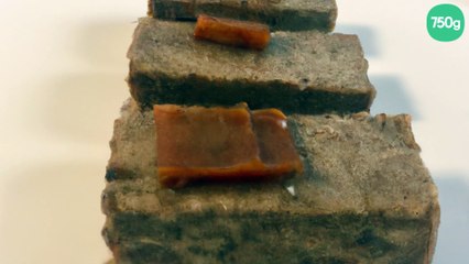 Bricks à la viande hachée