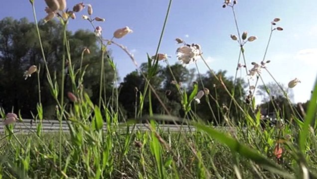 BMW Motorrad présente une BMW R 1200 GS autonome