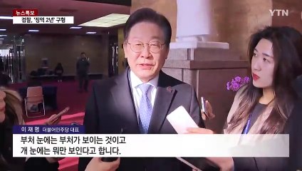 한동훈 '이재명도 계엄 가능' 주장에 때 아닌 '개' 설전? / YTN