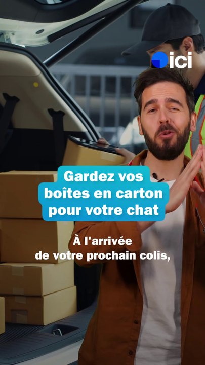 Chats : gardez vos boîtes en carton