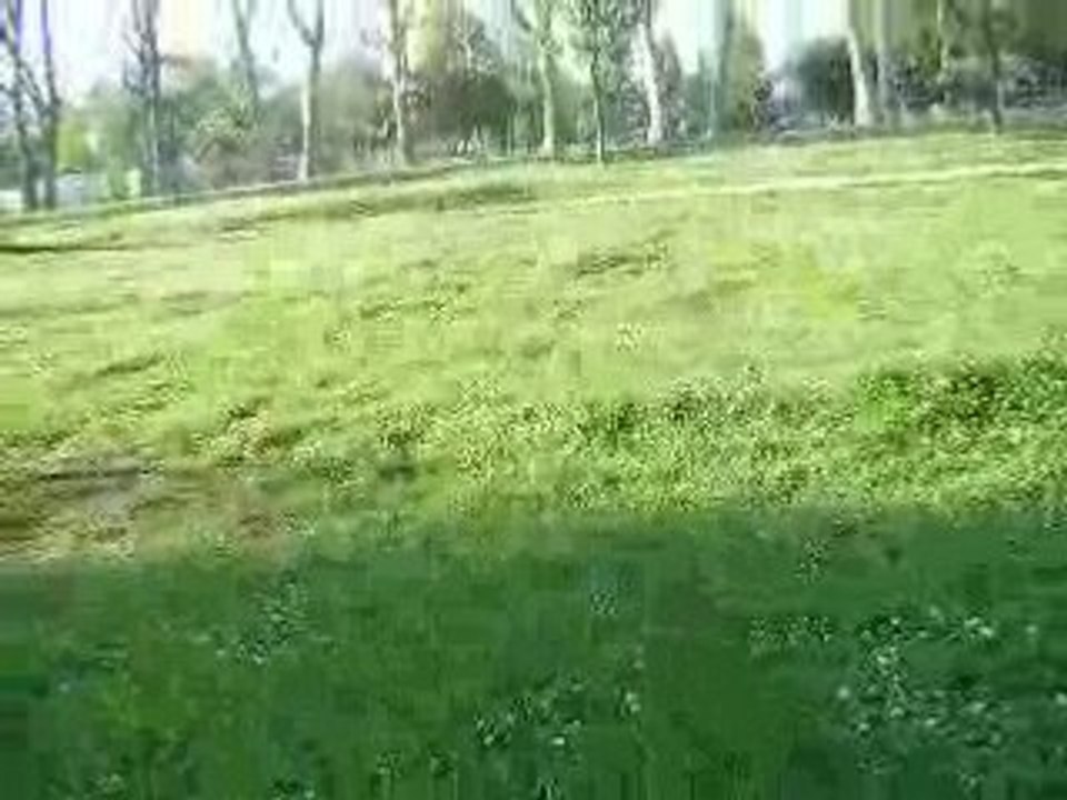 On se roule dans l' herbe ? xD