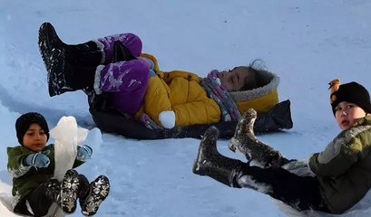 Köy muhtarından çocuklar için muhteşem hizmet: Ormanlık alanda oluşturdu, yetişkinler bile sıraya girdi
