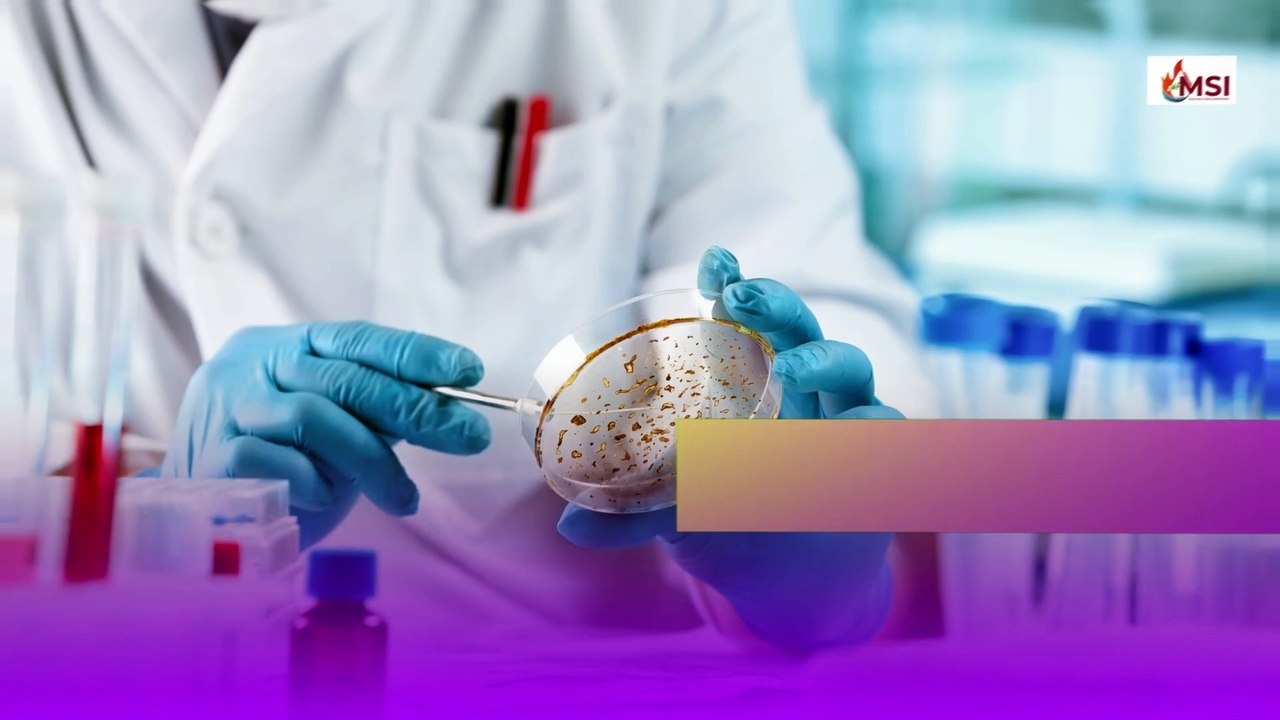 Mold Inspection - Protect Your Home & Family