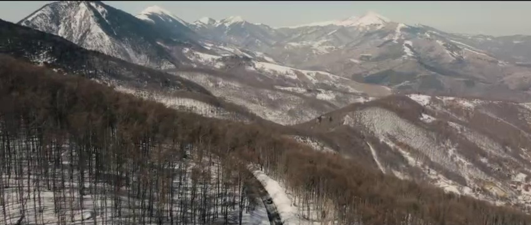 Jericho Ridge Trailer DF