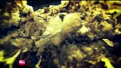 Conso : du Diesel fabriqué à partir de déchets en plastique ! (Emission Turbo du 06/05/2012)