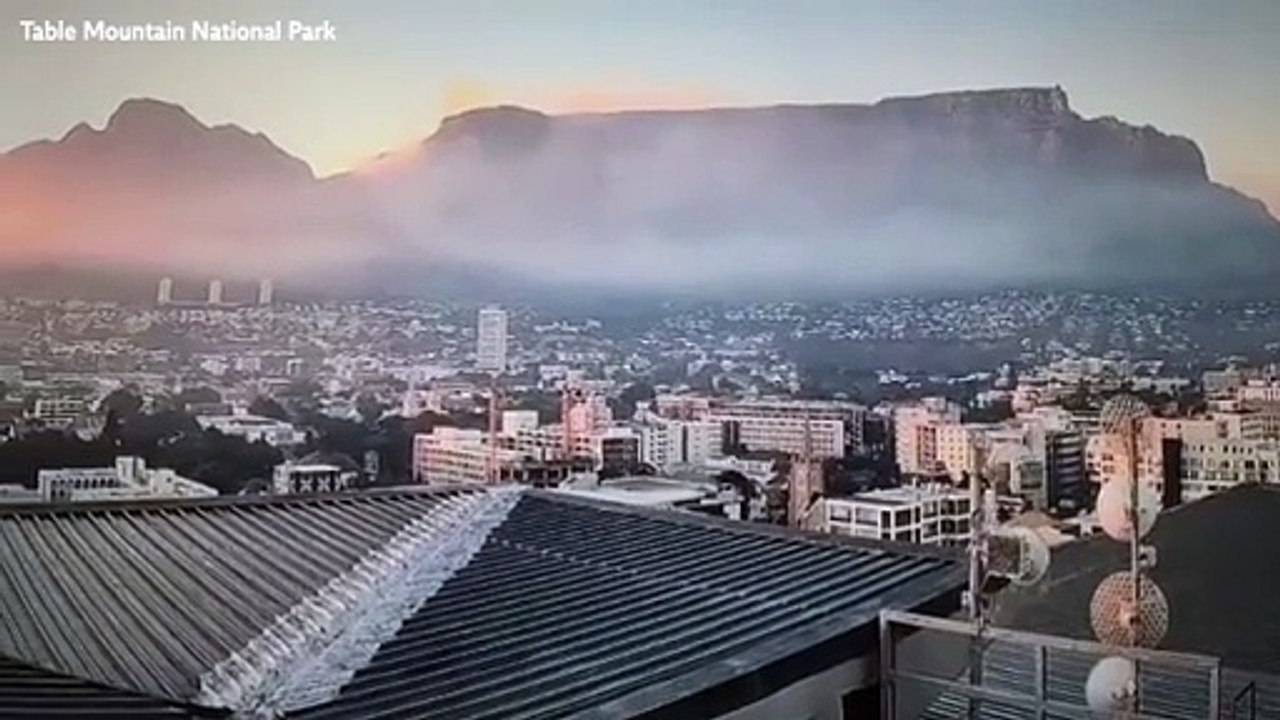 Wildfire breaks out across Table Mountain National Park blanketing Cape Town in thick smoke