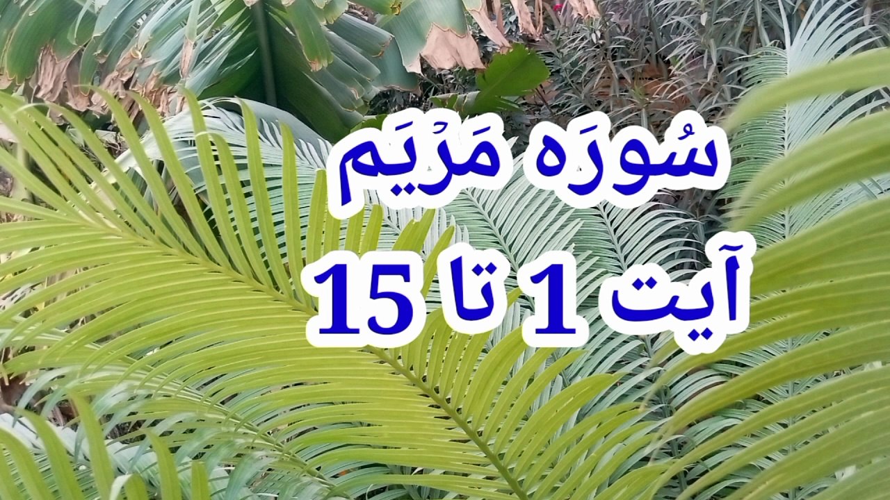 Surah Maryam | Tilawat e quran | best qirat recitation | beautiful voice | learn quran |