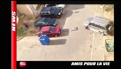 Les insolites de la semaine (Emission Turbo du 27/04/2014)