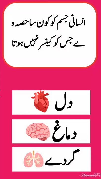 How to get Islamic quick