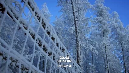 Retour à l'âge de glace, l'hypothèse de Zimov