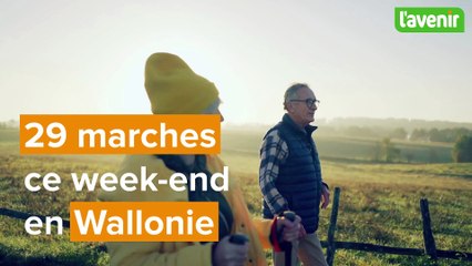 29 marches (Adeps et populaires) au menu de ce week-end des 1 et 2 mars, au coeur des vacances de détente
