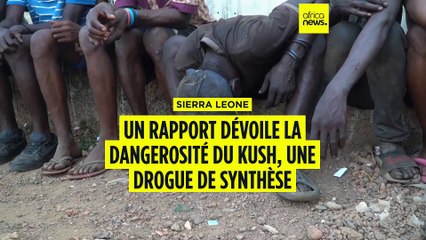 Sierra Leone : l'un des nitazènes détectés dans le kush serait 25 fois plus puissant que le fentanyl