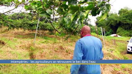 Le grand JT des territoires du 1 mars