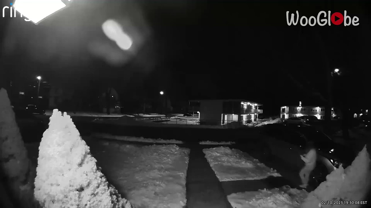 Ring camera captures woman's comical slip on an icy walkway after a winter storm