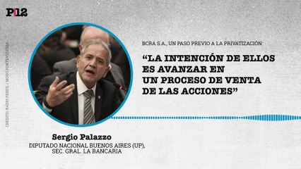 Palazzo apuntó que BCRA S.A. es un paso previo a la privatización y señaló la intención de vender acciones