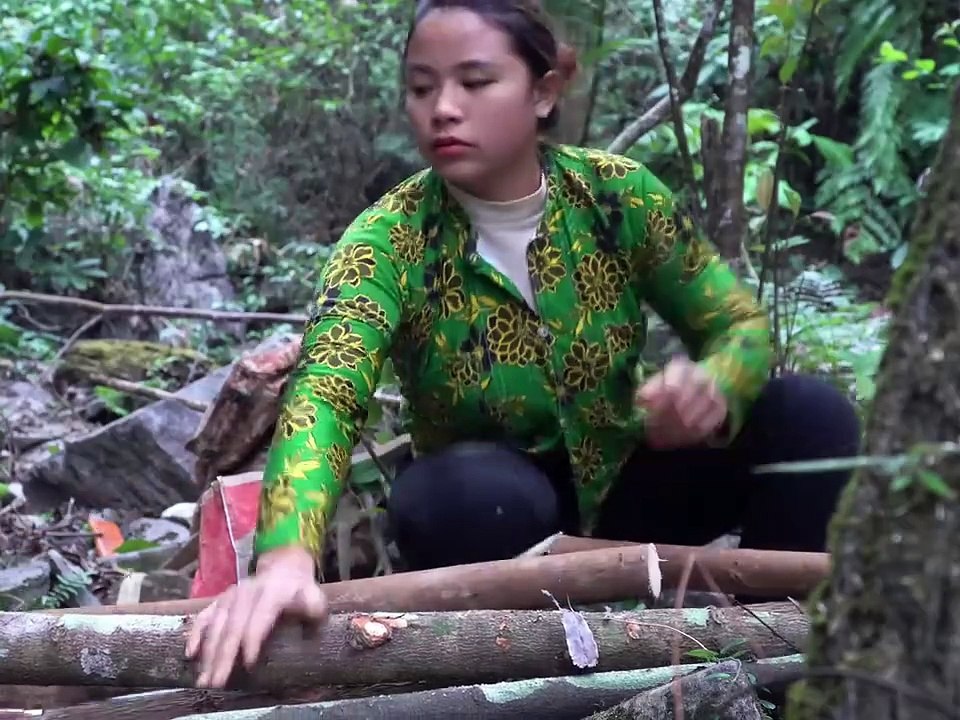 Building a Shelter in the Forest & Surviving Alone | Wilderness Survival Challenge"