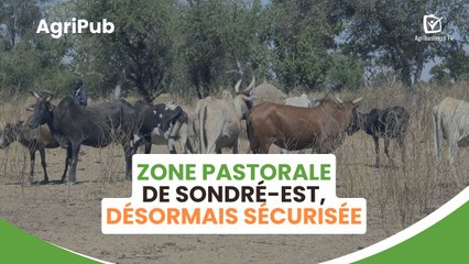 Agri Pub : Zone pastorale de Sondré-Est, désormais sécurisée