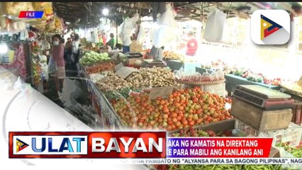 D.A., hinihikayat ang mga magsasaka ng kamatis na direktang makipag-ugnayan sa mga palengke para mabili ang kanilang ani
