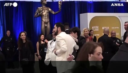 Da Chalamet a Demi Moore, parata di star ai Sag Awards