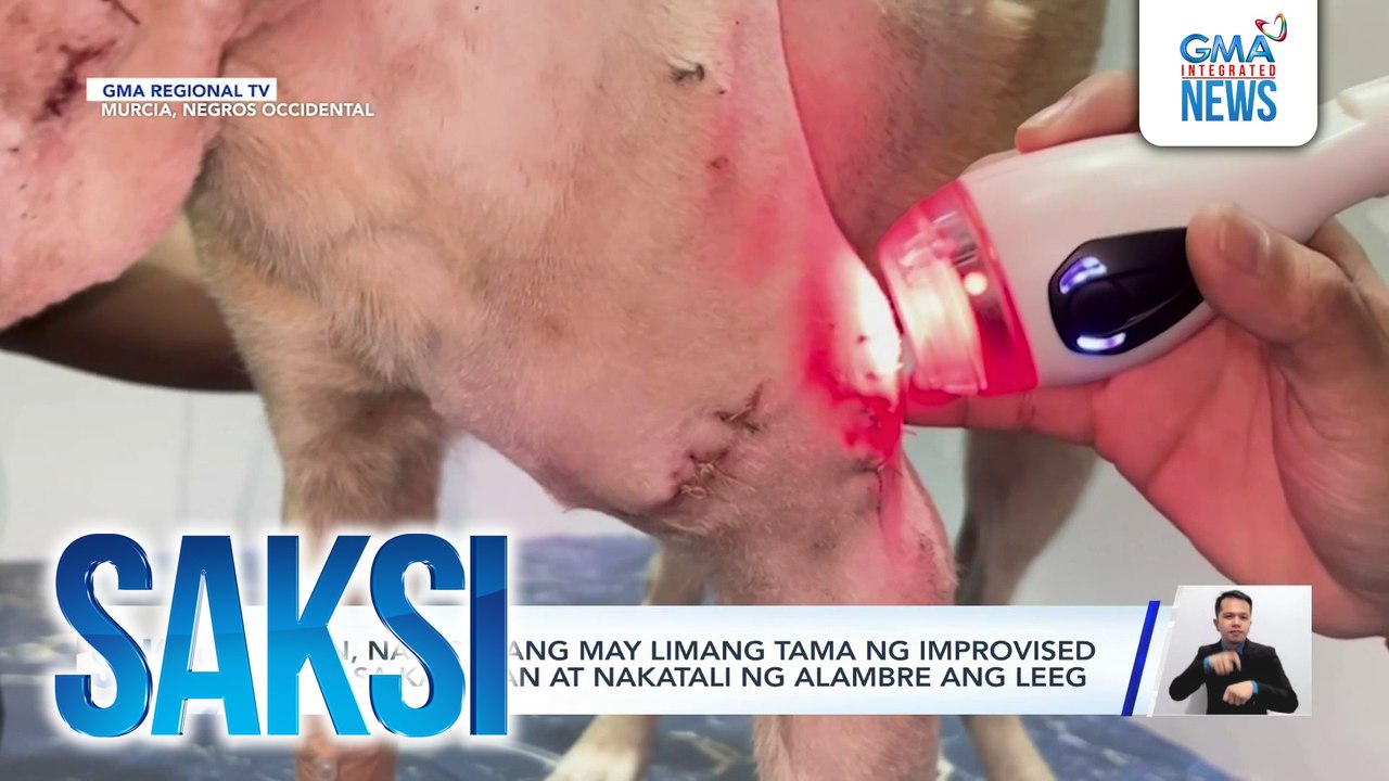 Aspin, natagpuang may limang tama ng improvised pana sa katawan at nakatali ng alambre ang leeg | Saksi