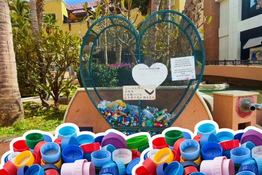 Banco de Tapitas BCS ofrece concierto a beneficio de niños con cáncer en Los Cabos