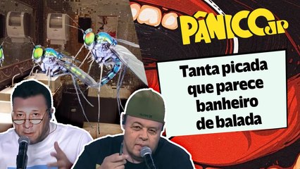 SURTO DE DENGUE ASSUSTA MAIS QUE PICADURA DE “PÊNISLONGO”? ALBA E MORGADO DÃO O PAPO